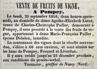 Annonce pour la vente de fruits de vigne à Pompey