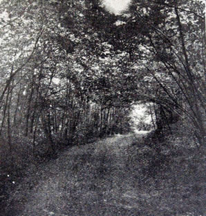 Le Chemin du Plateau (E.F. de la carte)